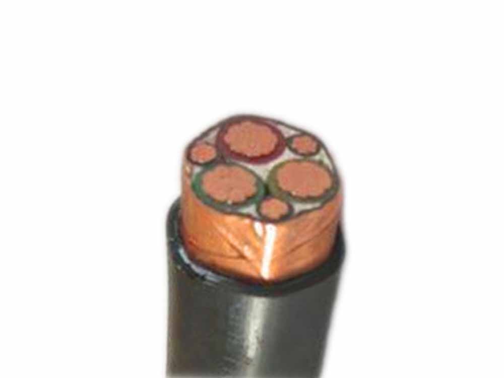 BPYJVP變頻電(diàn)纜